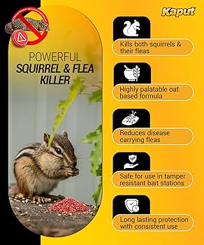 帽子 ash generation squirrel soil ASH generation- squirrel hat / soil | k&y for baby and kids